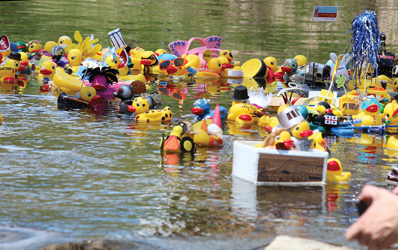 Clearview_StaynerDuckRaces