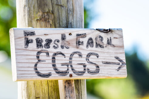  Farm Gate  image