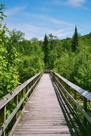 Trails  image