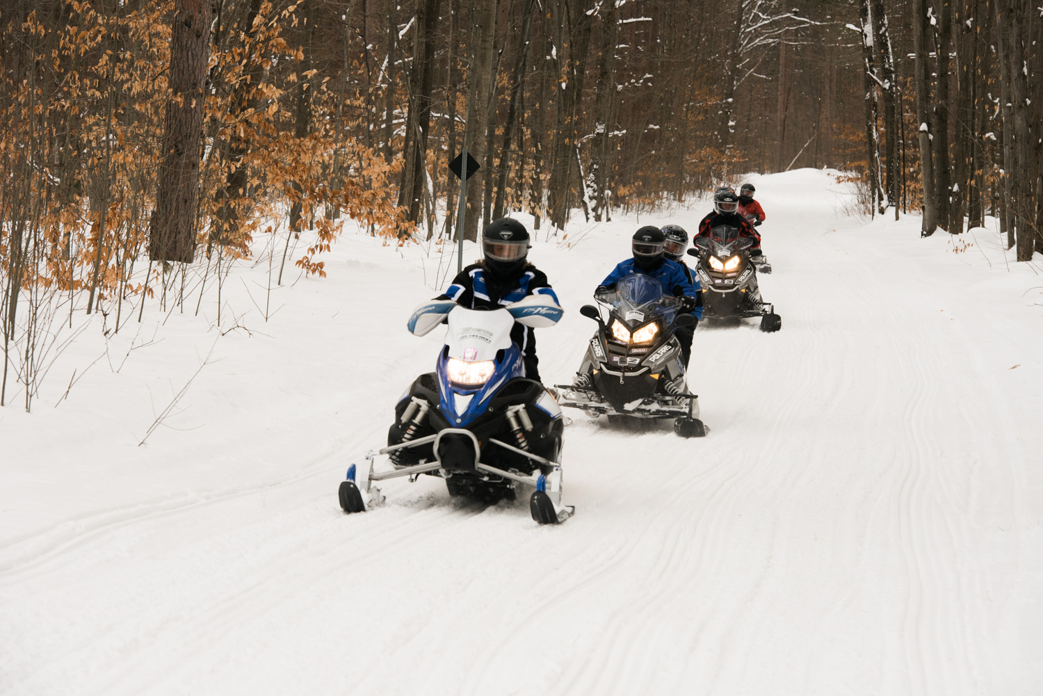 Hit the Trails in Simcoe County image