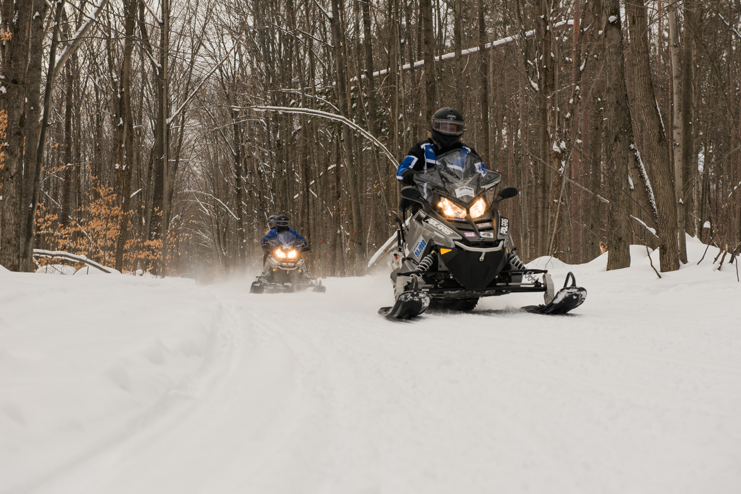 Snowmobiling banner image