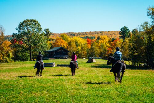 Three horses with riders in a field with bright colourful fall trees at Glen Oro Farm