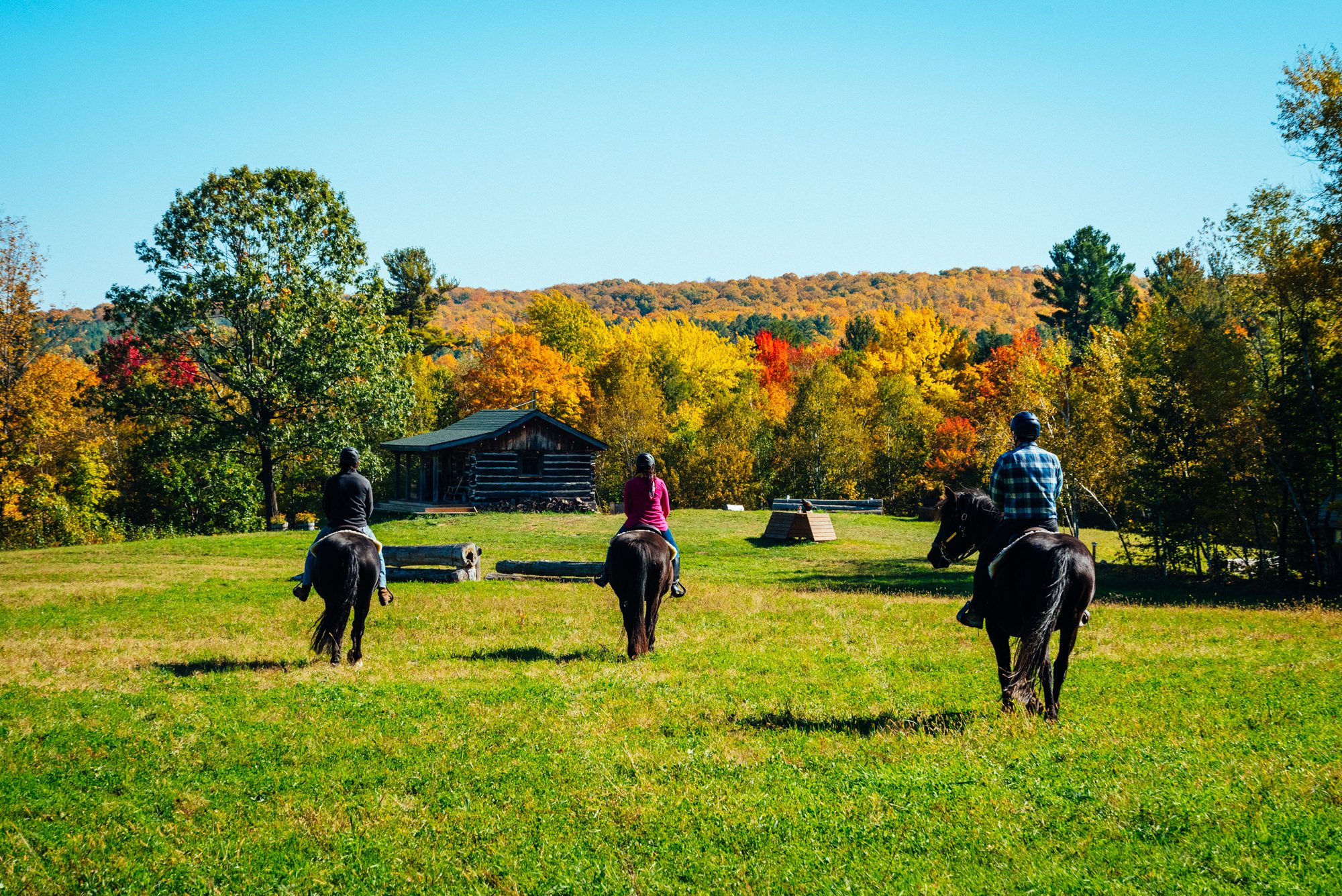 The Ultimate Fall Explorer’s Guide to Simcoe County Featured Image